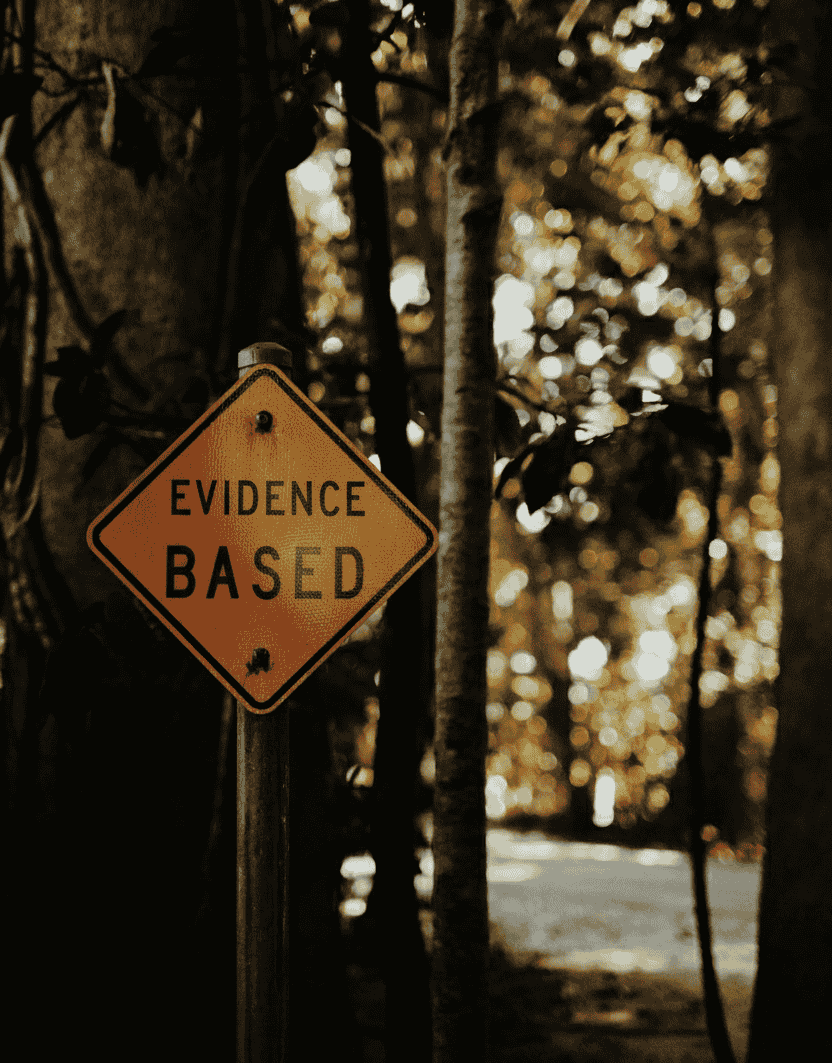 A person reviewing research papers